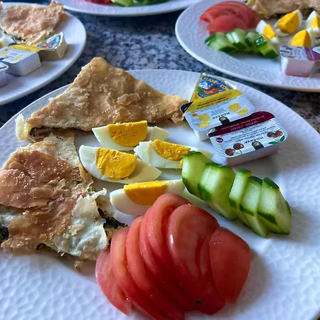 Aloha House Shkoder